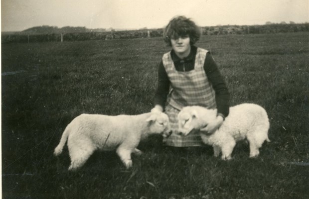 fokkerijmeisjeschaap