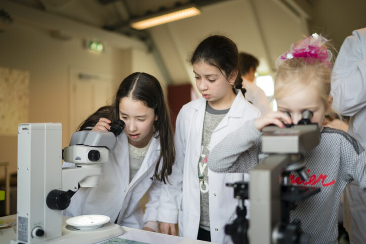 esten umu vernieuwen interactief museum