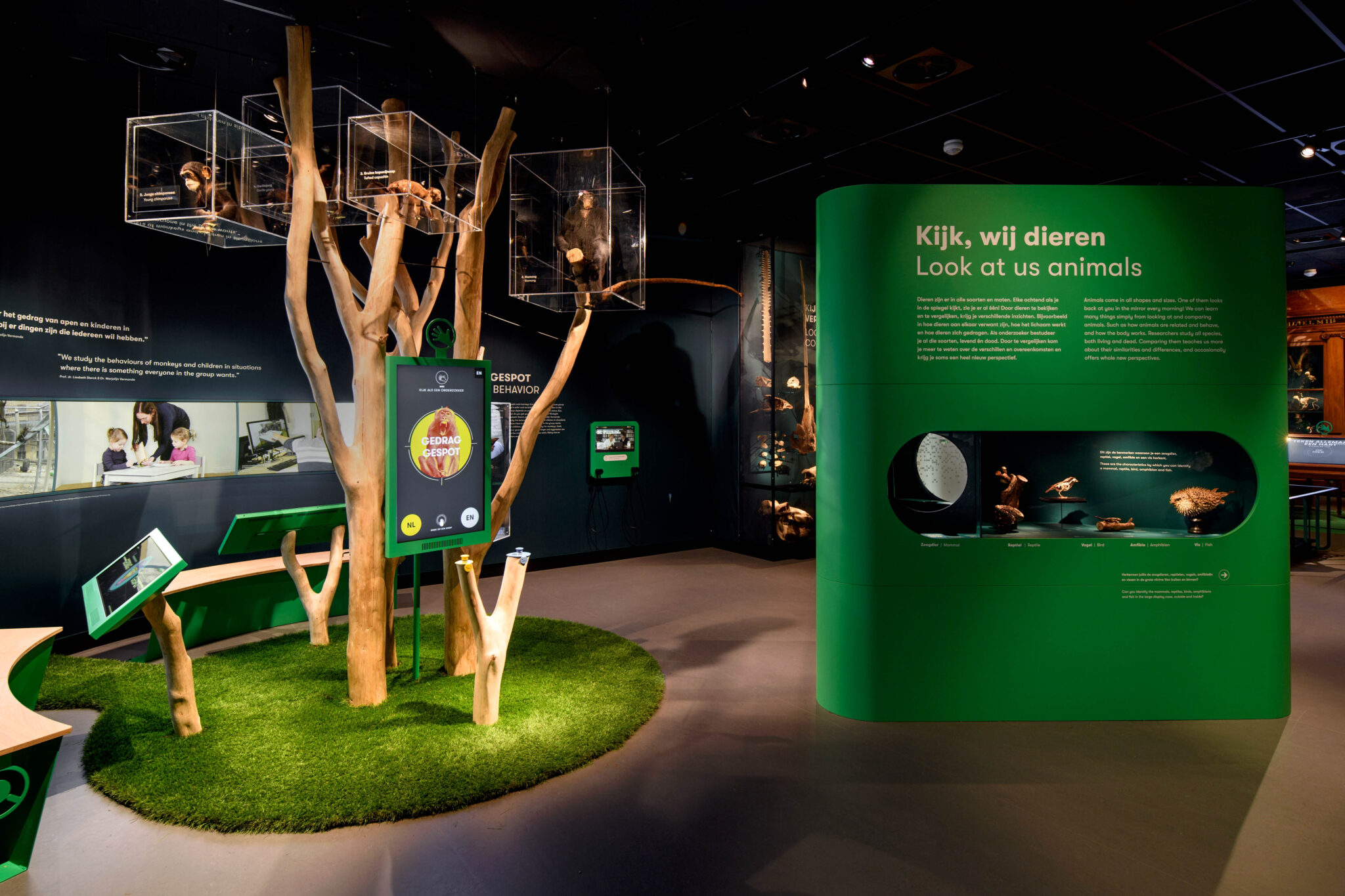kijk-wij-dieren-umu-universiteitsmuseum-utrecht