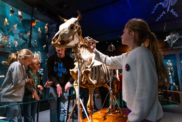 Kinderen in museum bij het skelet van een stier