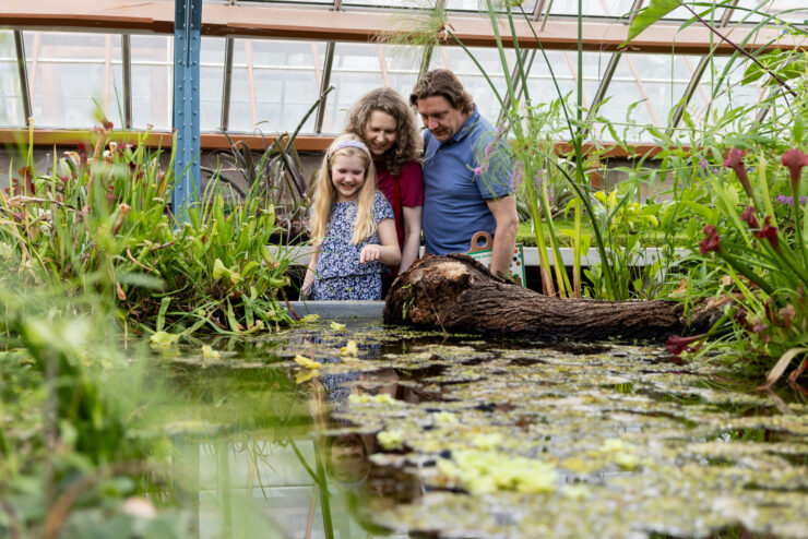 Gezin bij de waterbak in de kassen van de Oude Hortus Utrecht