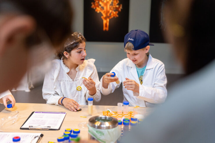 Leerlingen experimenteren in het UMU