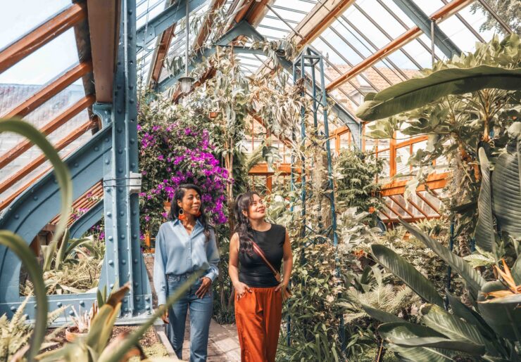 Bezoekers in de kassen van de Oude Hortus