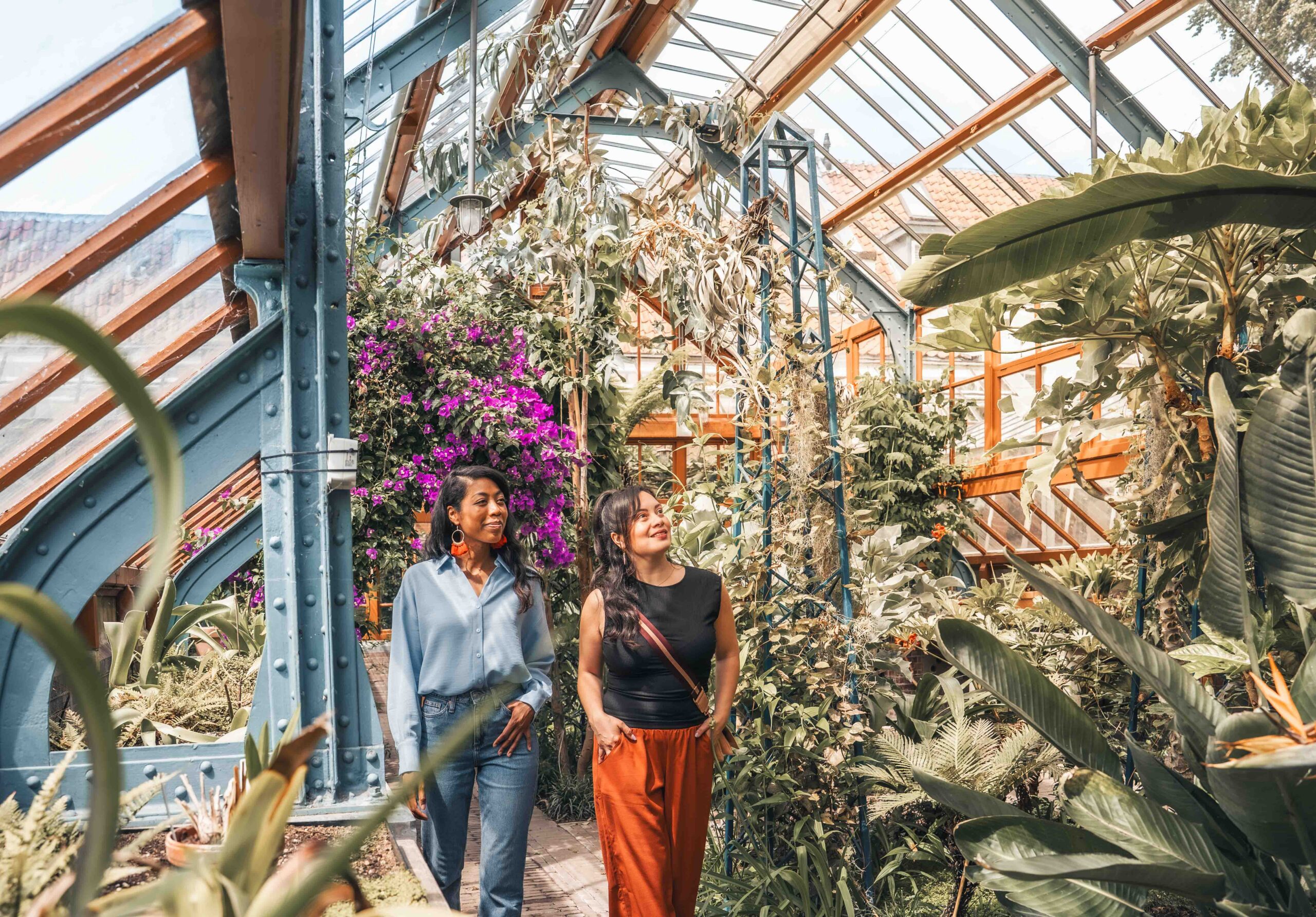 Bezoekers in de kassen van de Oude Hortus