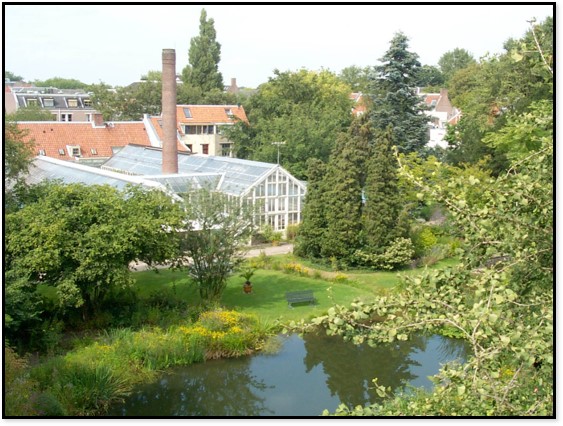 De hortus in de jaren zestig met vijvers en witte kassen