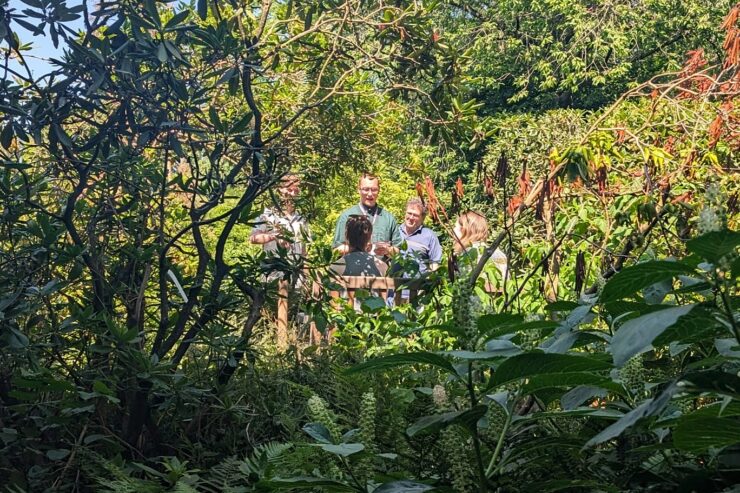 Rondleiding door de Oude Hortus