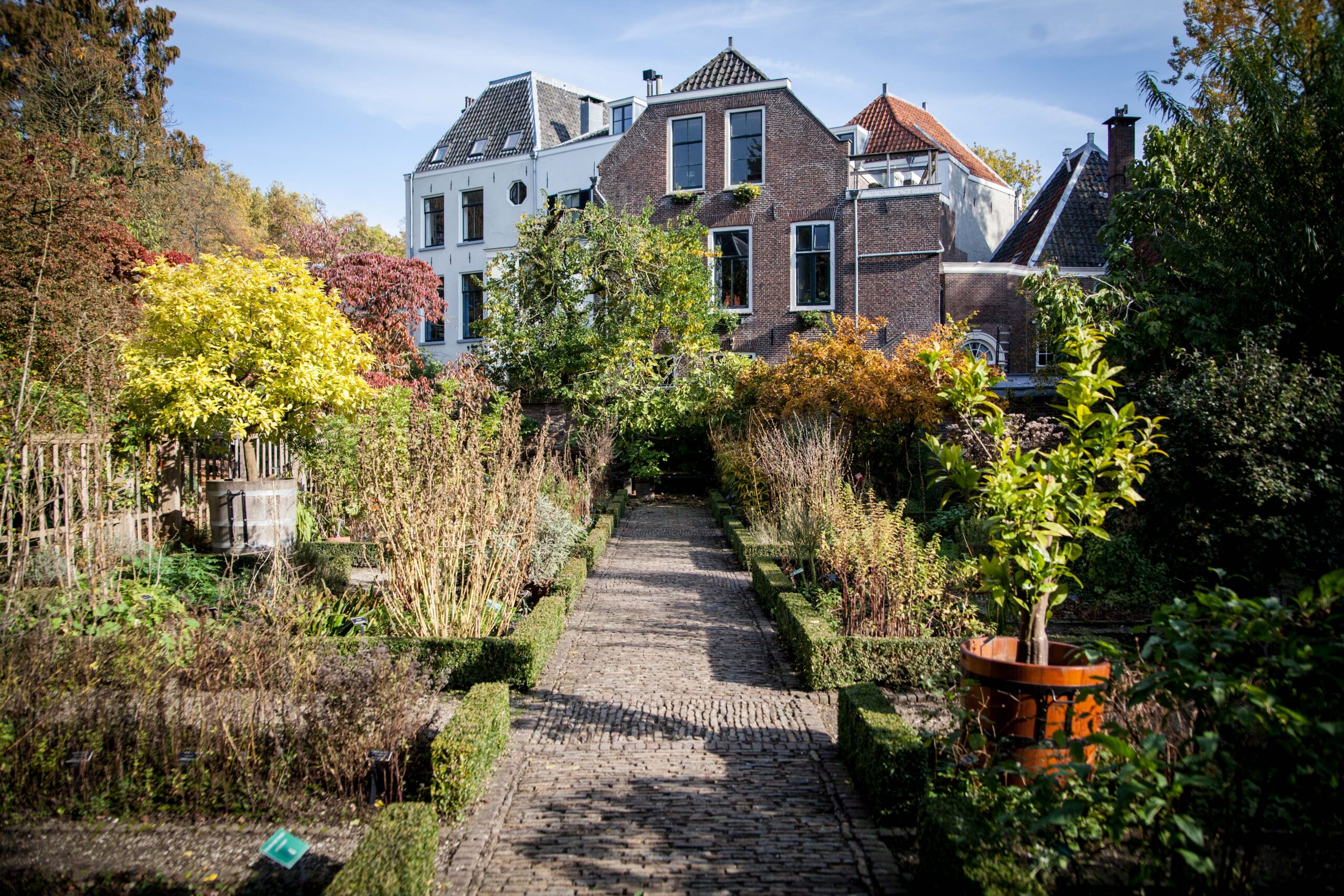 Regiustuin in de Oude Hortus Utrecht